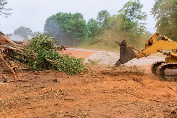 Ground Clearing in Roseville