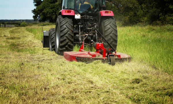 Brush Clearing Service in Roseville