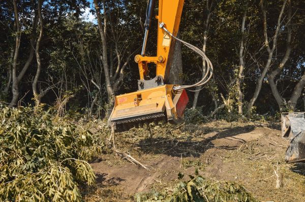 Brush Removal Service in Roseville