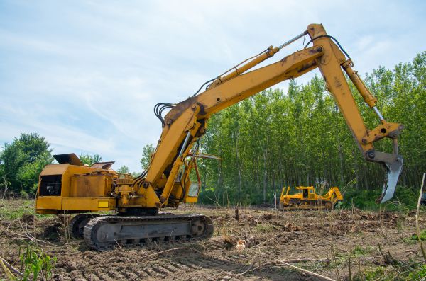 Cost of Farm Clearing in Roseville