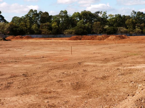 Cost of Field Clearing in Roseville