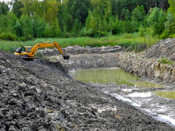 Cost of Lake Lot Clearing in Roseville