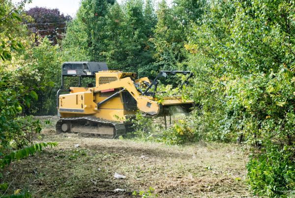 Cost of Pathway Clearing in Roseville