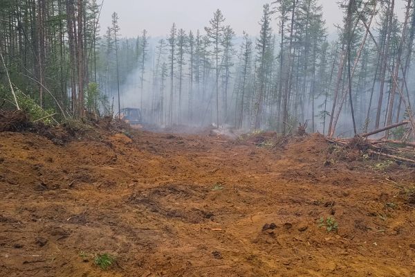 Cost of Hill Clearing in Roseville