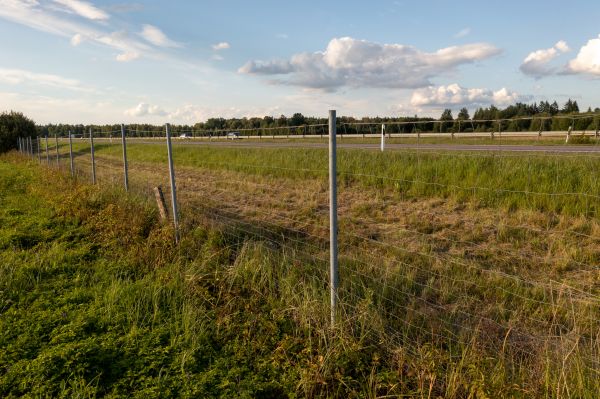 Cost of Property Line Clearing in Roseville