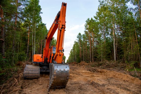 Cost of Backhoe Land Clearing in Roseville