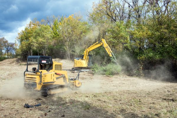 Cost of Terrain Clearing in Roseville