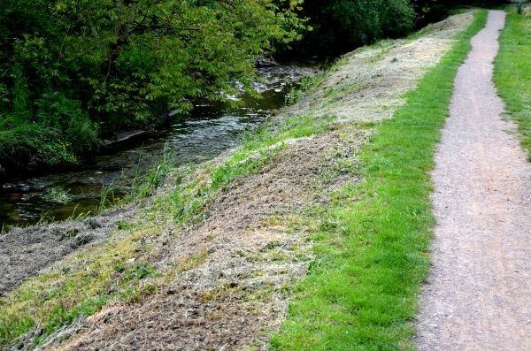 Cost of Trail Cutting in Roseville