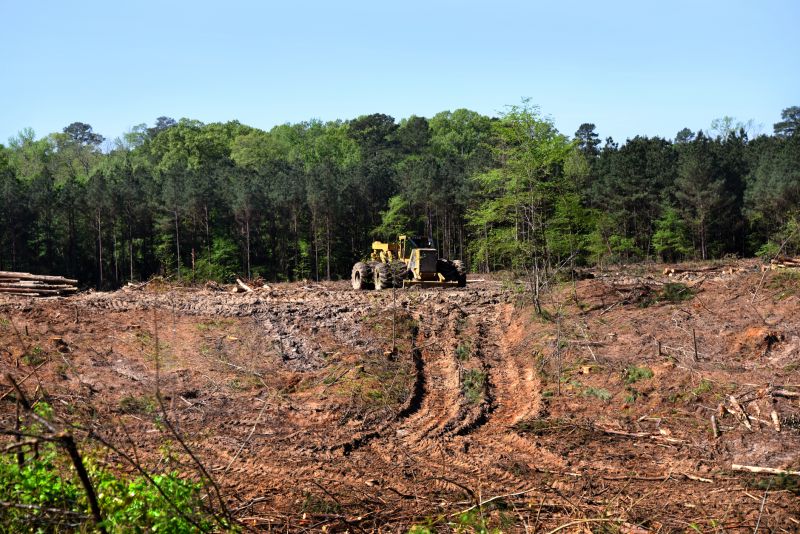 Whatâ€™s Involved In Professional Land Clearing?